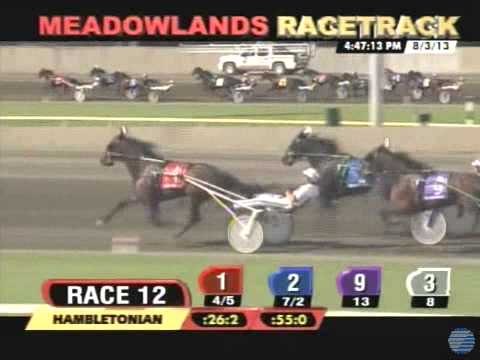 Royalty For Life - 2013 Hambletonian Final