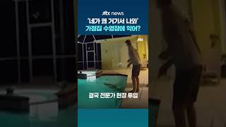 '네가 왜 거기서 나와'…미국 가정집 수영장 침입한 3m 악어 #JTBC #Shorts
