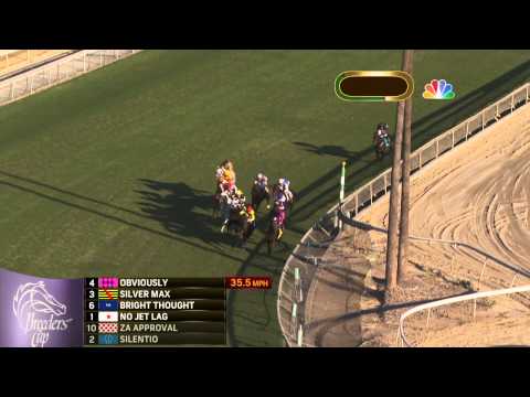 2013 Breeders' Cup Mile - Wise Dan