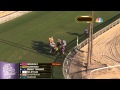 2013 Breeders Cup Mile Wise Dan