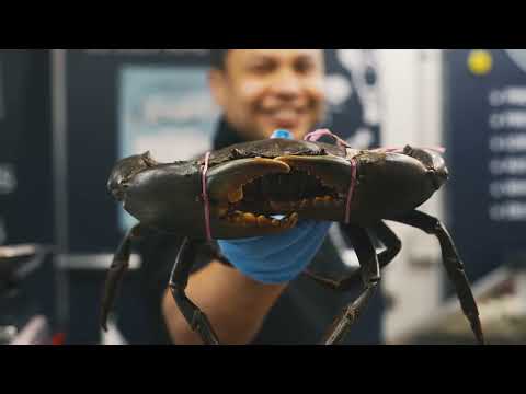 Queen Vic Market's Ultimate Foodie Tour