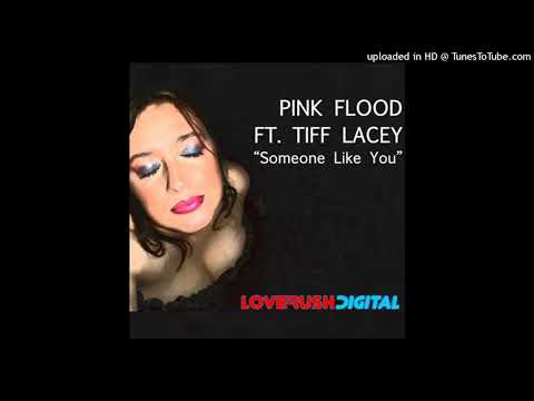 Pink Flood Ft. Tiff Lacey - Someone Like You (Album Version)