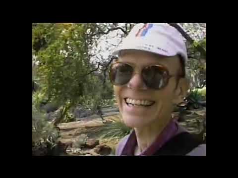 The View from Here: Queer Documentary and the AIDS Crisis