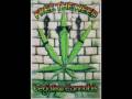 Wayne Marshall - Legalize Ganja 