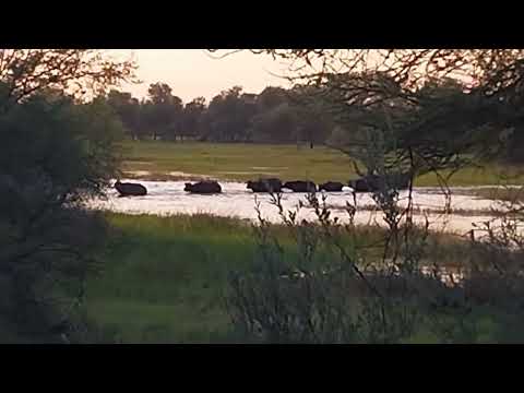 Camp & Accommodation