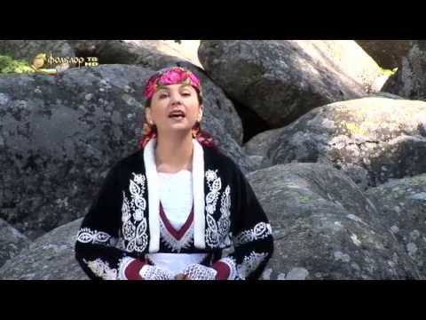 Нели Андреева - Стъпил Добри