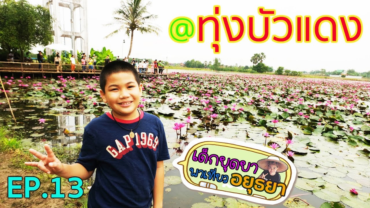 ทุ่งบัวแดงอยุธยา