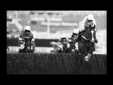 A tribute to Vautour {When you're gone} RIP beautiful special boy