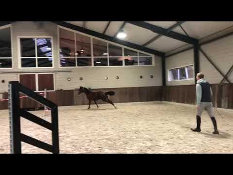 Unixe: United Way x Heraldik xx