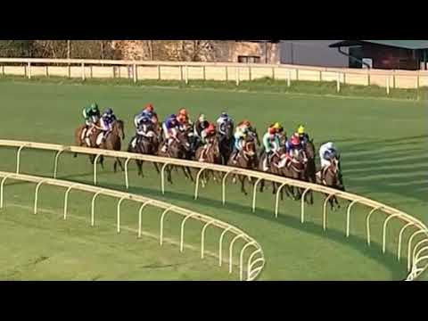 Takingthepeace - 2018 SA Fillies Classic winner