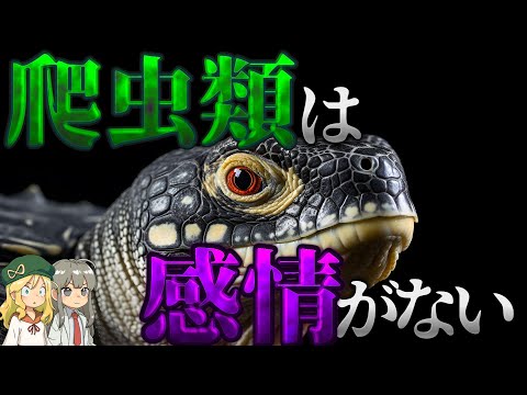 【真実】爬虫類に感情は存在するのか【解説】