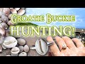 Hunting for rare Scottish cowrie shells! Groatie Buckie hunting and creating a silver ring! Hunting for rare Scottish cowrie shells! Groatie Buckie hunting and creating a silver ring!
