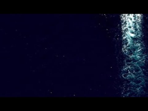 Trafalgar. Temeraire. The Men.