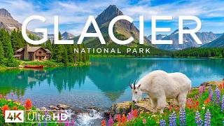 Glacier National Park 4K | Nature’s Alpine Paradise – Waterfalls & Snowy Peak Landscapes