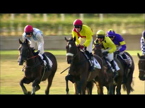 PE, 18. 8. 2018, 7. dostih - Cena města Pardubic – cena Registany