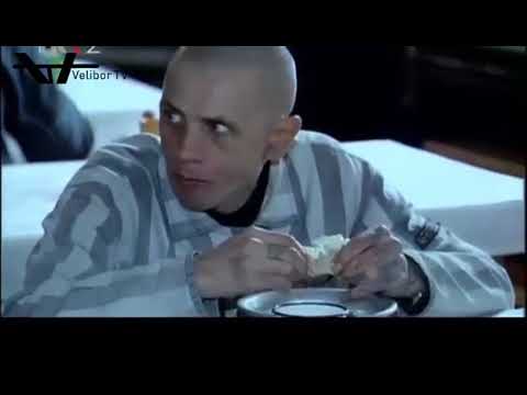 Mafia Lopovi po zakonu   Velibor Janićijević