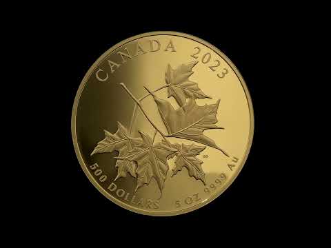 Pure Gold Coin – Beloved Maple Leaves – Mintage: 115 (2023)