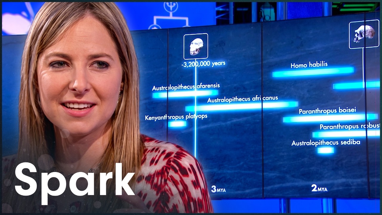 The Timeline of Human Evolution Is Older Than We Thought