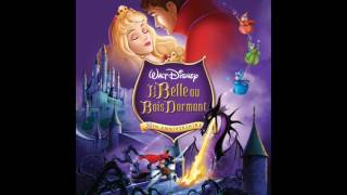 05 Que tous les rouets du royaume soient brulés / Le plan des fées