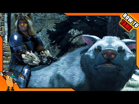 ARK HOW TO TAME DIRE WOLF | MANS BEST FRIEND? | ARK How To Tame Series