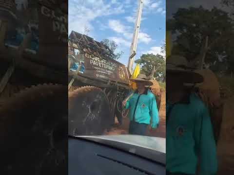 #carros de boi #belavista #goiás #brasil
