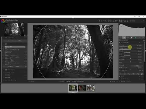 無料RAW現像ソフトのdarktable3.0.0を使う8　お手軽白黒加工