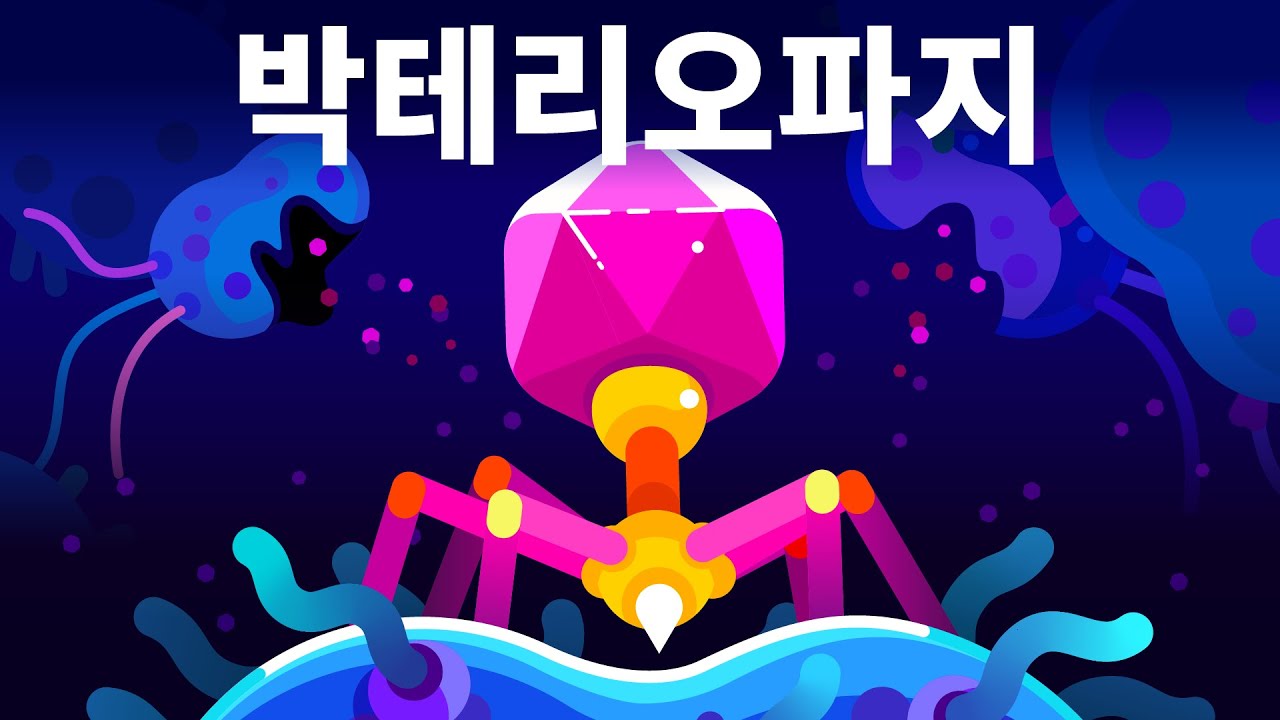 지구상에서 가장 치명적인 존재 – 박테리오파지