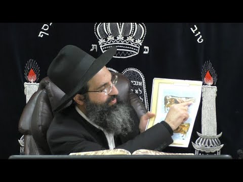 הלכות טריפות - ח' | מתנות כהונה | יורה דעה - סימן נז - סא | חלק 14 | הרב שי עובד
