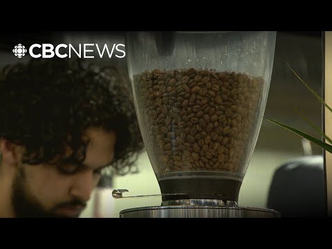 CBC News and CBC News Alberta