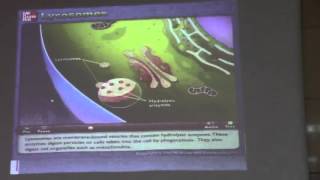 1_ Dr. Faisal  Cell Injury Fatty Change part 1