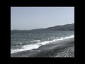 山下達郎 ヘロン Cover Tatsuro Yamashita