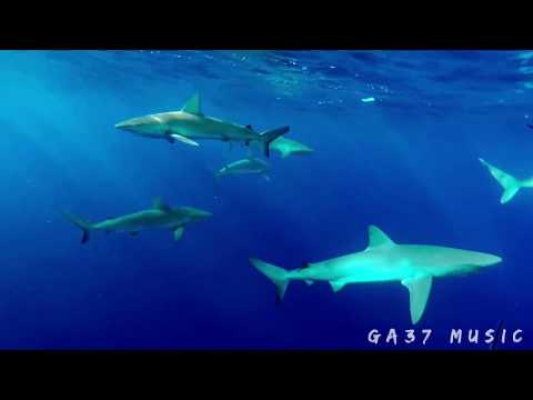 Volkan Uca feat. Ersin Ersavas & Semih Celikel Ameno (Extended Mix) New Video GA37MUSIC