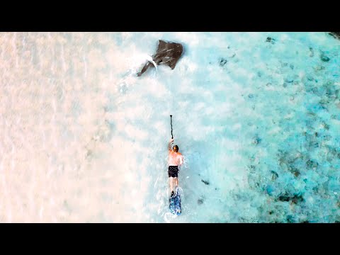 I SWAM WITH A RARE SHARK RAY IN MY BACKYARD Fishing And Diving Remote Islands For Food - Ep 257