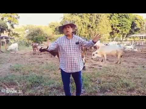 Julio Cesar Salas El Gaban Malandro 