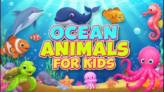 Ocean Animals For Kids