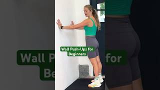 Wall Walk demonstration thumbnail