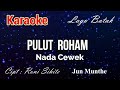 Karaoke : Pulut Roham (Nada Cewek)