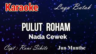Download lagu Karaoke : Pulut Roham (Nada Cewek) mp3