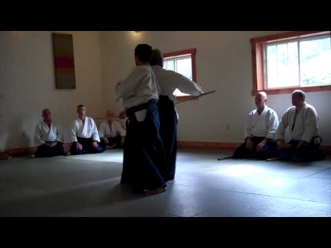 Chiba Sensei advanced weapons class, 2011 Regional Seminar - Part 1