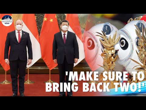 Xi meets Prince of Monaco Albert II: Bring a couple of "Bing Dwen Dwen" back for your twins