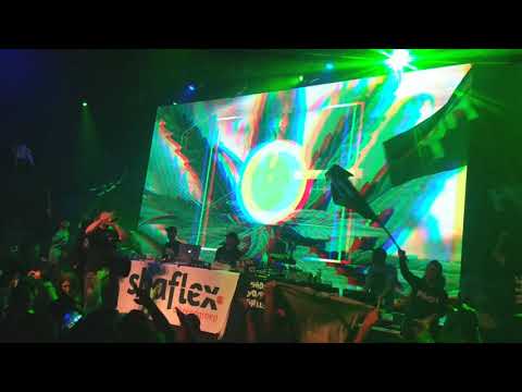 Hemp Gru deluxe 2018 Amsterdam Q Factory