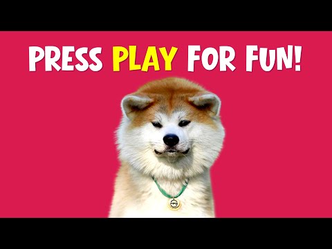 Dog Test: Can They Resist These Sounds? 🐶