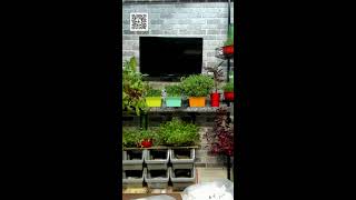 Growing Loads of Food is Easy