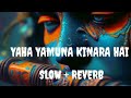 Slow Reverb Yaha Yamuna Kinara Hai Chitra Vichitra Ji Maharaj Subscribe To My Channel