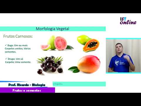 2° ano - Biologia - Prof. Ricardo - Frutos e sementes. Parte 01