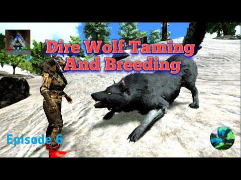 Dire Wolf Taming and Breeding | Ark Survival Evolved Mobile Ep 6