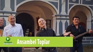 Ansambel Toplar - V Podčetrtek grem, Uradna verzija (Official video)