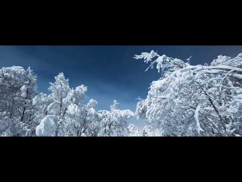 Chicane feat. Moya Brennan - Saltwater - Sebastien (Neon Winter V mix) V J P L A Y