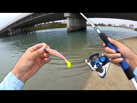 I thought I was SNAGGED! (Catch and Cook) Big Surprise Catch