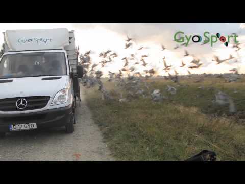 Lansare A.C.P. GyoSport Etapa 1 Maicanesti (pui) 16.08.2014